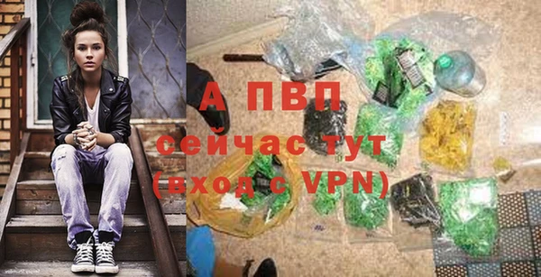 гидра Арсеньев