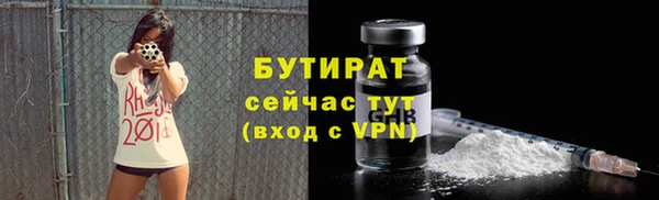 гидра Арсеньев