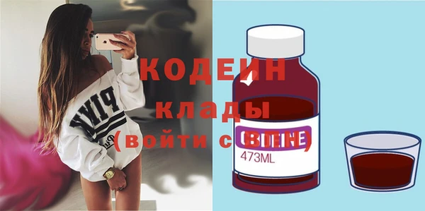 гидра Арсеньев