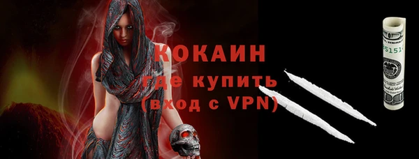 гидра Арсеньев