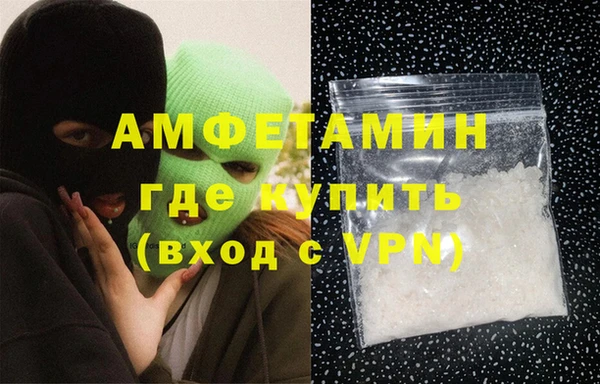 гидра Арсеньев