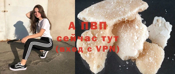 гидра Арсеньев