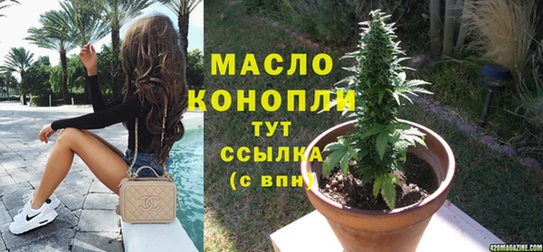 гидра Арсеньев