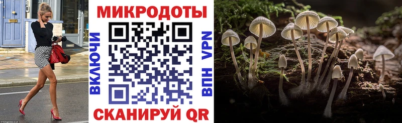 Псилоцибиновые грибы прущие грибы где найти наркотики Темрюк